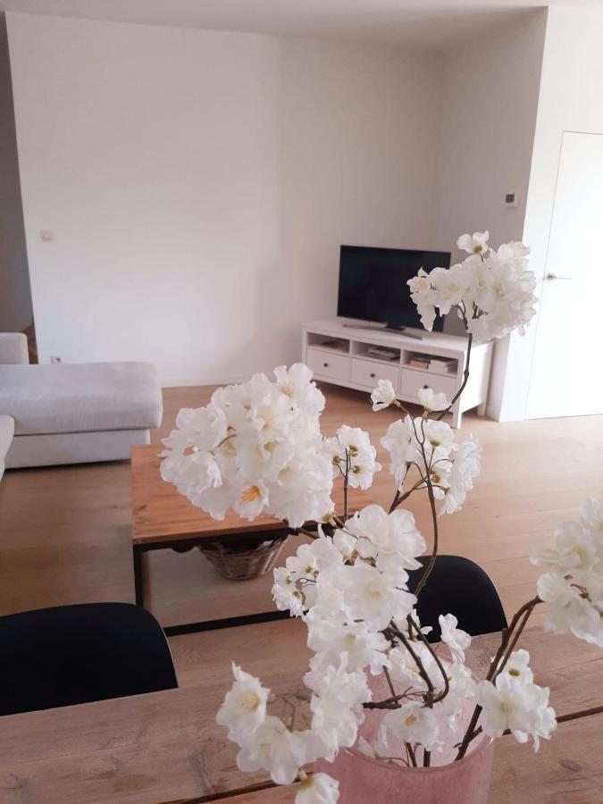 Luxe Duplex Appartement Mavi Gistel Εξωτερικό φωτογραφία